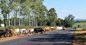 Diario HOY | Coordinan acciones para prevenir siniestros por animales sueltos en rutas