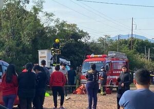 Popular / Joven muere electrocutado tras podar un añejado árbol