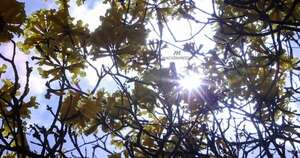 La Nación / ¡Sábado con sabor a primavera! El calor se instala en todo el país