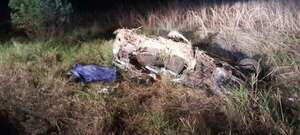 Hombre y adolescente fallecen en accidente de tránsito en San Pedro: conductor del otro vehículo fue detenido - Policiales - ABC Color