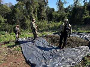 1.600 kilos de marihuana en el Parque Nacional Caazapá