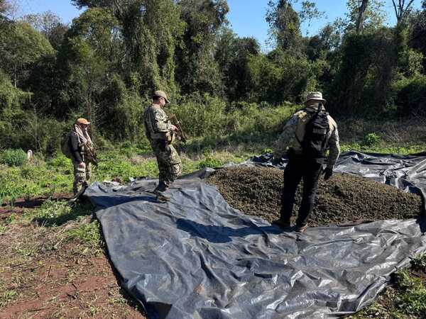 1.600 kilos de marihuana en el Parque Nacional Caazapá