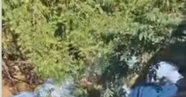 La Nación / Surge nueva denuncia de contaminación del arroyo San Lorenzo