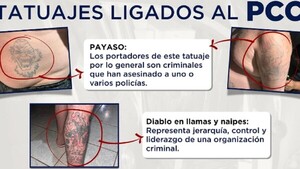 La narcocultura en nuestro país es incipiente, pero va creciendo, advierten