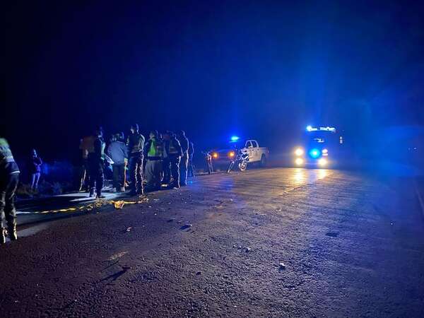 Una vaca causó un accidente fatal en Misiones - Policiales - ABC Color