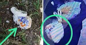 La Nación / Mujer habría asfixiado y abandonado a su bebé en un descampado