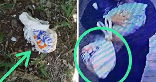 La Nación / Mujer habría asfixiado y abandonado a su bebé en un descampado