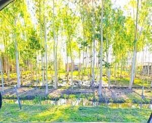 Denuncian fraccionamiento en Santa Elena que afectaría propiedades del INDERT y particulares - Judiciales.net