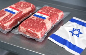 Ya no es Brasil, sino Israel el mejor destino de la carne paraguaya - ADN Digital