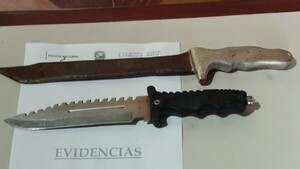 Padre e hijo son detenidos por violencia familiar en Hernandarias
