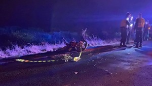 Misiones: joven motociclista muere tras chocar contra una vaca