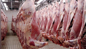 La faena bovina argentina superó 1,2 millones de cabezas en julio y creció 10%