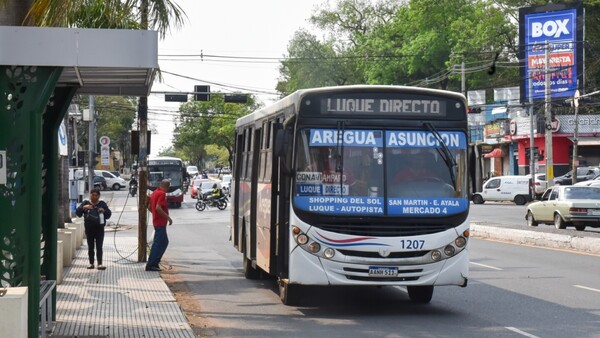 Reforma prevé carril exclusivo de buses sobre Eusebio Ayala