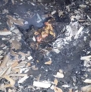 Popular / Karai omano en incendió de su casa mientras dormía