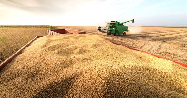 La Nación / Viento positivo: productores mantienen el optimismo para la próxima campaña agrícola