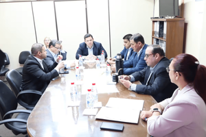 Comisión de Diputados dictamina en mayoría por destitución de Prieto - Noticiero Paraguay