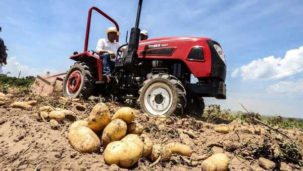Paraguay está cerca del autoabastecimiento en algunos rubros, asegura titular del MAG