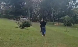 Exhuman cuerpo de joven en Coronel Oviedo para aclarar el motivo de su fallecimiento - OviedoPress