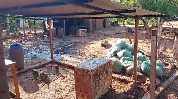 J. Augusto Saldívar: vecinos se quejan de fétido olor de un gallinero - Nacionales - ABC Color