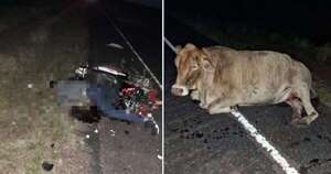 La Nación / Motociclista fallece tras chocar contra un animal en Misiones