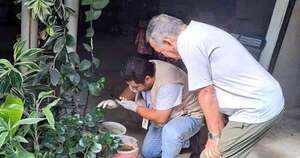La Nación / Eliminar criaderos inservibles es clave para frenar el dengue y otras arbovirosis
