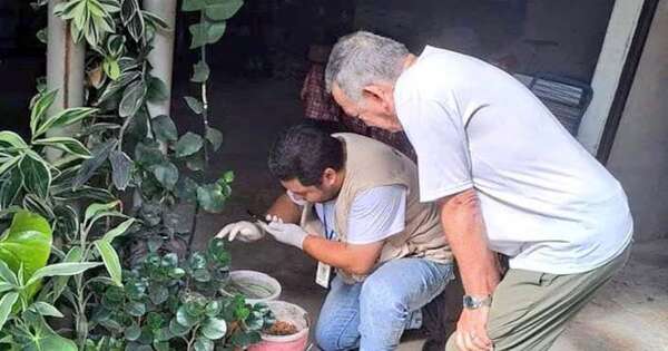 La Nación / Eliminar criaderos inservibles es clave para frenar el dengue y otras arbovirosis