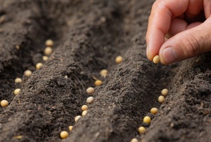 Productores agrícolas mantienen el optimismo para la campaña sojera 2025/2026