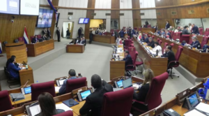 Convocan sesión extra en Diputados para analizar informe de intervención a comuna de CDE
