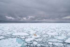 Récord en Svalbard: se perdió el 1 % del hielo en solo un verano - Ciencia - ABC Color
