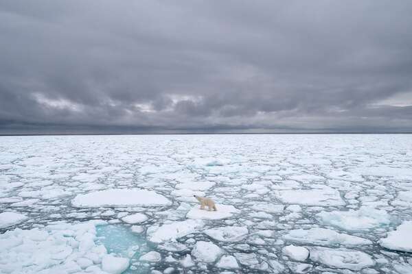 Récord en Svalbard: se perdió el 1 % del hielo en solo un verano - Ciencia - ABC Color