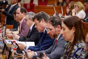 Defienden proyecto que lleva el Viceministerio de Minas y Energía al MIC - Economía - ABC Color