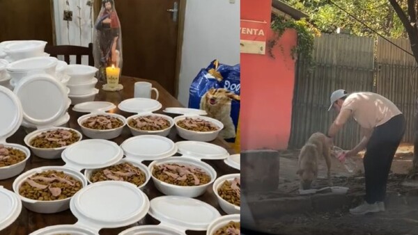 Repartieron comida a los perros callejeros en honor a San Roque