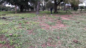 Trabajador rural muere tras caer de su caballo en Ayolas