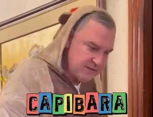 Video: Javier Zacarías Irún se disfrazó de “capibara” y desató todo tipo de comentarios - Política - ABC Color