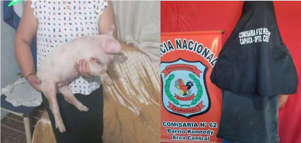 Recuperan un lechón en Capiatá: un detenido como presunto autor del hurto - Policiales - ABC Color