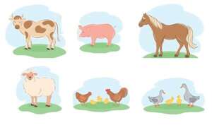 Los animales de la granja: características principales - Así pienso, me expreso y me comunico - ABC Color