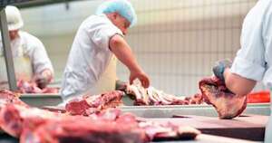 La Nación / Paraguay es el noveno mayor exportador de carne del mundo, según USDA