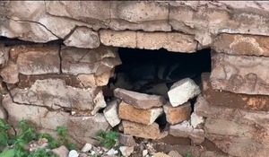Reportan presunta profanación de tumbas en cementerio de Vaquería