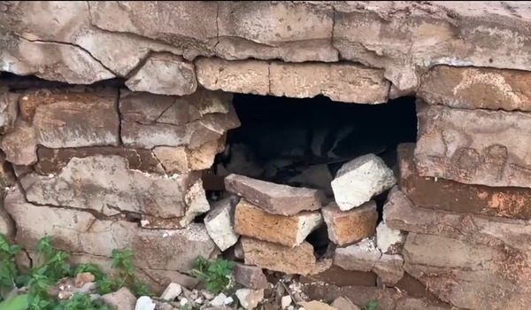 Reportan presunta profanación de tumbas en cementerio de Vaquería