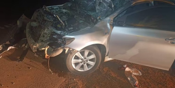 Mujer falleció atropellada al intentar cruzar la ruta con su vaca - trece