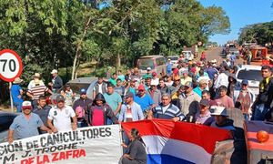Cañicultores anuncian posible vuelta a las rutas por incumplimientos del Gobierno - OviedoPress