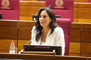 «La tasa de peaje es el concepto básico de que paga el que usa», dice titular del MOPC