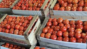 El tomate vuelve a subir y alcanza en promedio los G. 230.000 por caja en el Mercado de Abasto