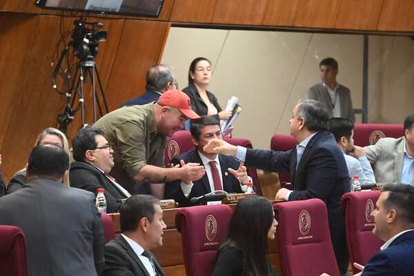 Tras destitución de Prieto, cartismo posterga “asesinato” a un importante proyecto de ley - Política - ABC Color