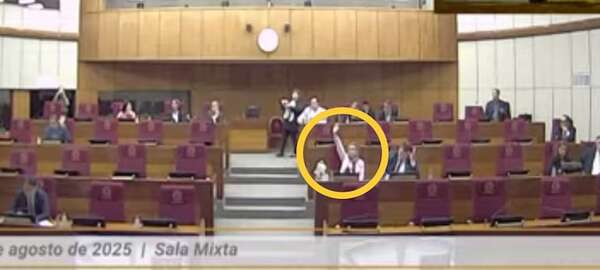 Cámara Alta mañana sancionaría blanquear el puenteo de la Contraloría  - Política - ABC Color