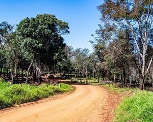 Artigas, Itapúa: vegetación y aventura en el corazón del Rally del Paraguay - .::Agencia IP::.