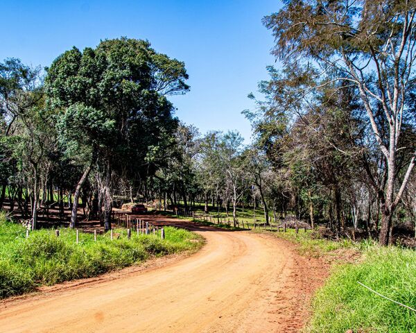 Artigas, Itapúa: vegetación y aventura en el corazón del Rally del Paraguay - .::Agencia IP::.