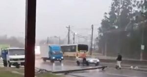 La Nación / Reportan caos por columna caída sobre la ruta PY02 tras fuerte temporal