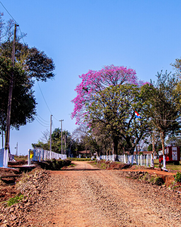 Artigas, Itapúa: vegetación y aventura en el corazón del Rally del Paraguay • PARAGUAY TV