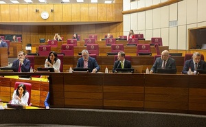 Dictaminan por el rechazo de la ley «antipolladas» y «exoneración de peajes»